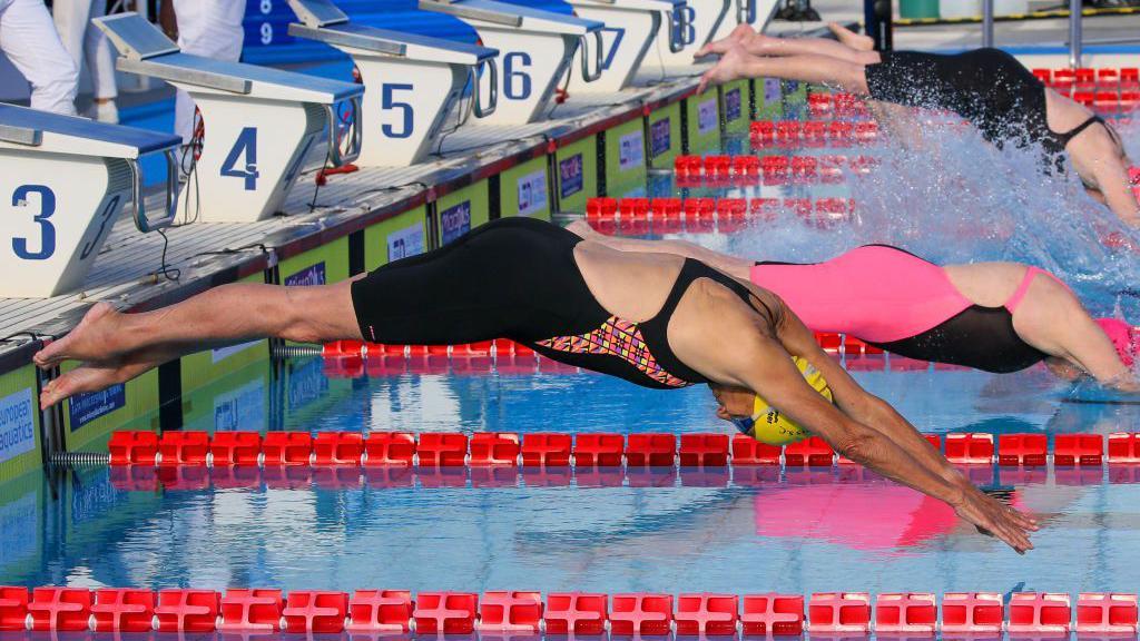 Jane Asher se lan&ccedil;ando &agrave; piscina durante uma competi&ccedil;&atilde;o