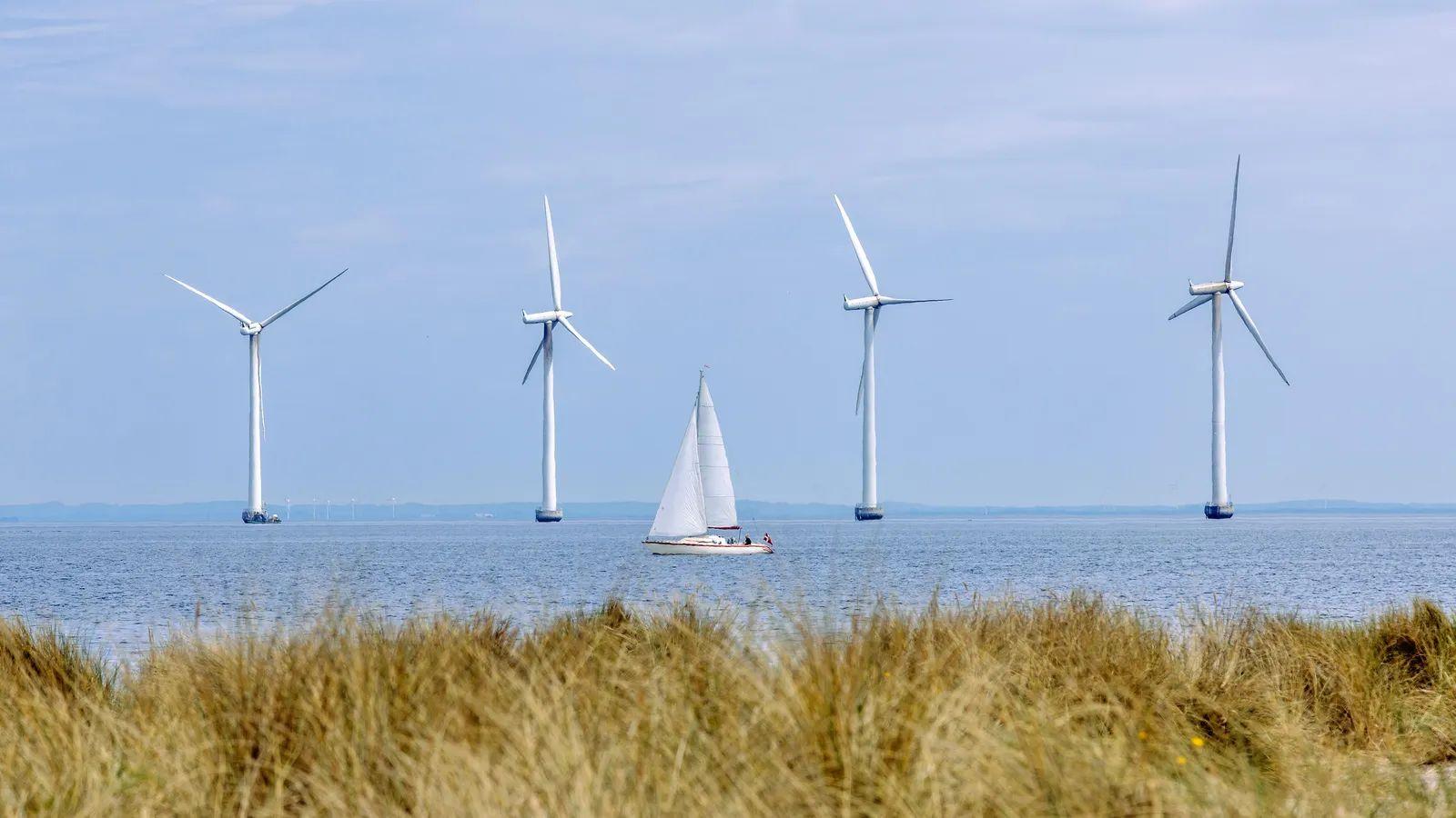 一艘帆船駛過海上風力發電場