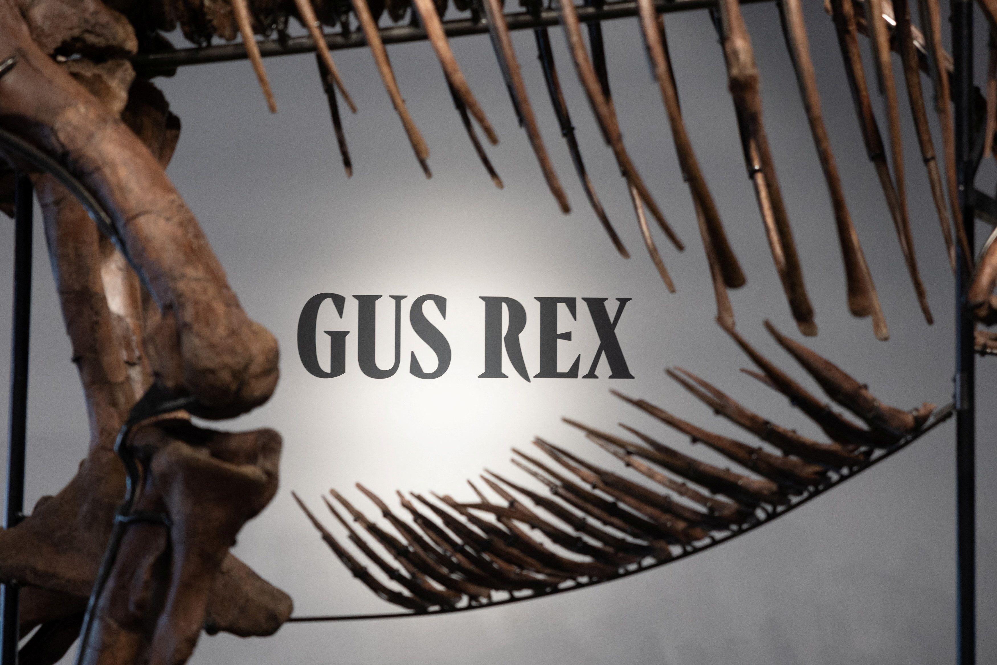 dinosaurus, aukcija