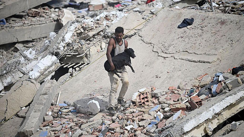 Un voluntario carga a un perro rescatado entre los escombros de un edificio colapsado tras dos terremotos consecutivos en Caraballeda, estado de La Guaira, a unos 40 km al noreste de Caracas, el 25 de junio de 2026.