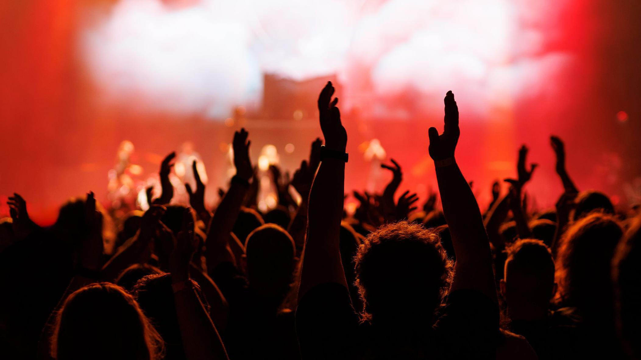 Público en un concierto
