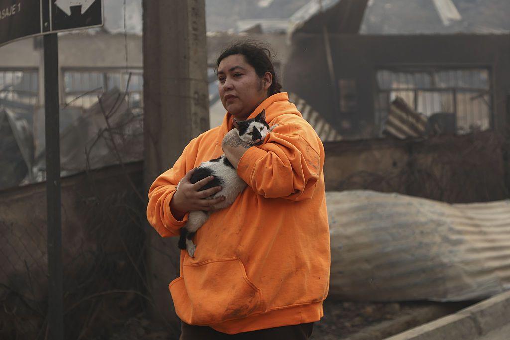 Una persona con sudadera naranja lleva un gato entre los brazos en medio de los daños causados por la destrucción de viviendas tras un incendio forestal que afectó al municipio de Penco, Chile, el 18 de enero de 2026. 