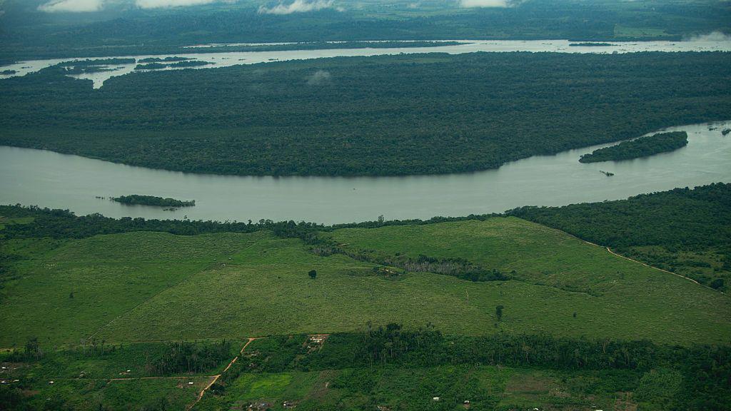 New Brazil development law risks Amazon deforestation, UN expert warns