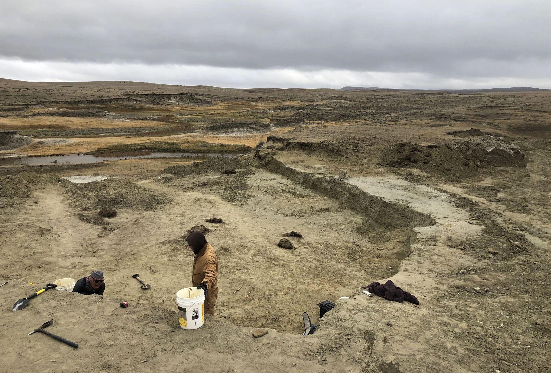 Da li bi ovaj tiranosaurus reks mogao da postane najskuplji dinosaurus na svetu 2 velika iskopina na pustom golom zemljištu