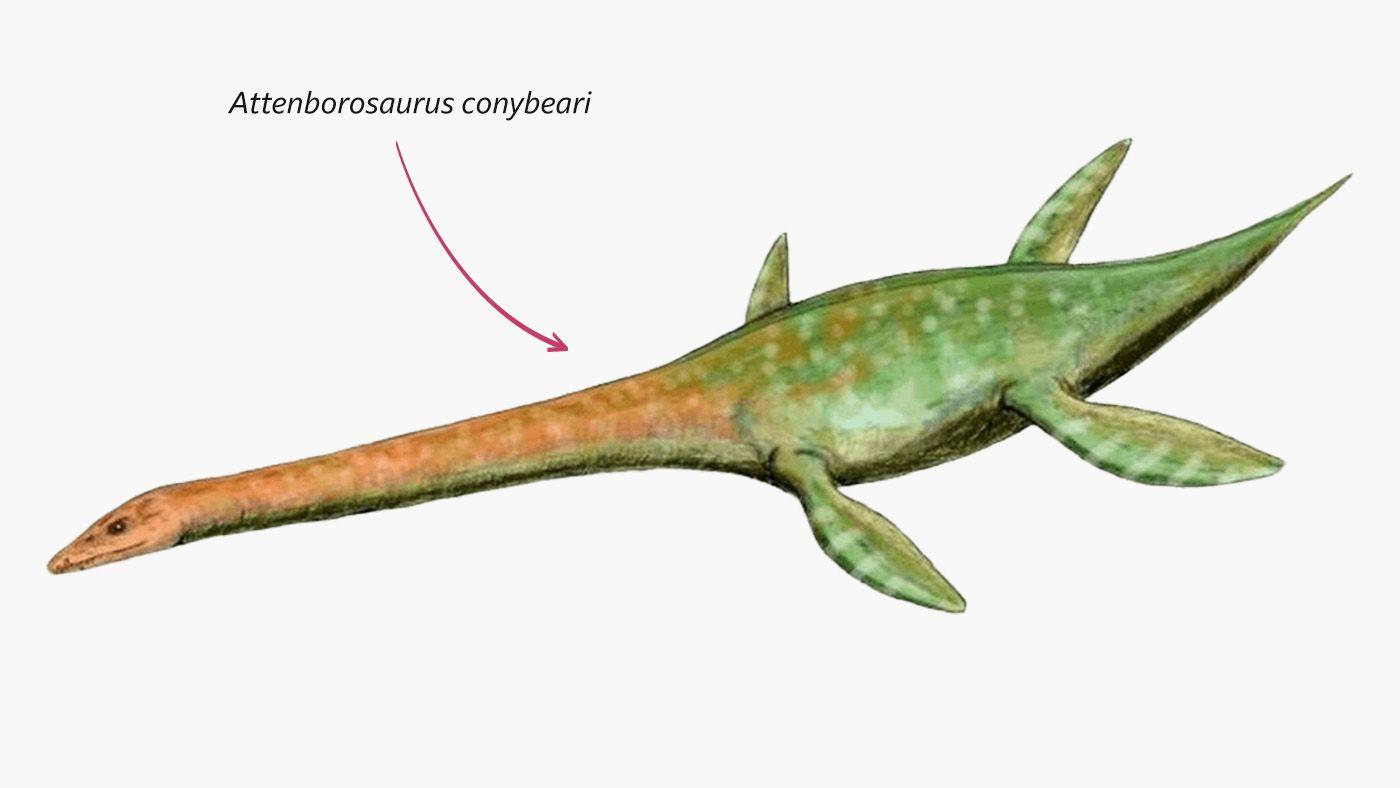 Illustración del Attenborosaurus conybeari