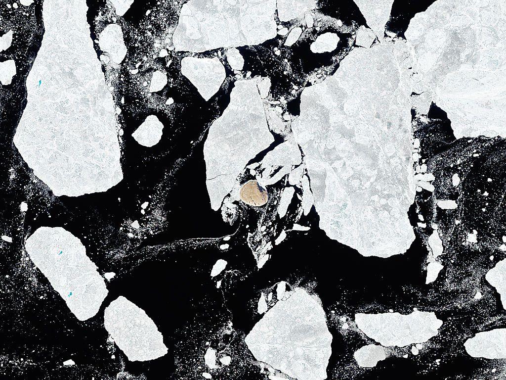 Imagen que muestra mar oscuro y muchos bloques de hielo, con un pequeño círculo en medio de color beige, que es la isla. 