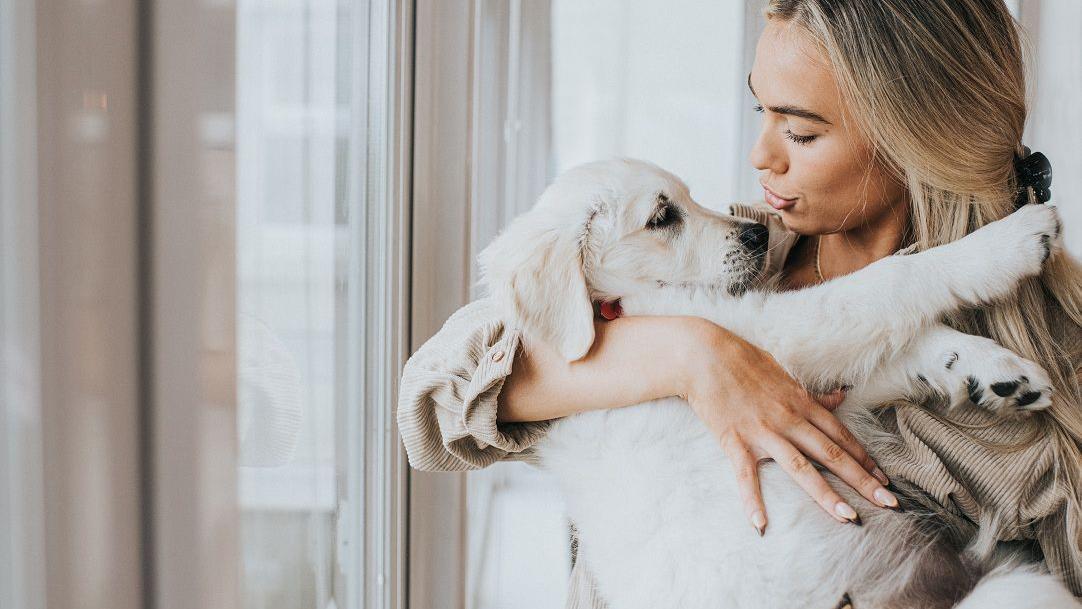 Mulher segurando cachorro