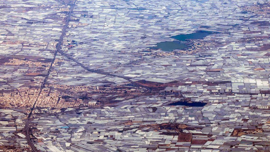 Imagen aérea de una amplia zona cubierta por invernaderos en el sur de España.