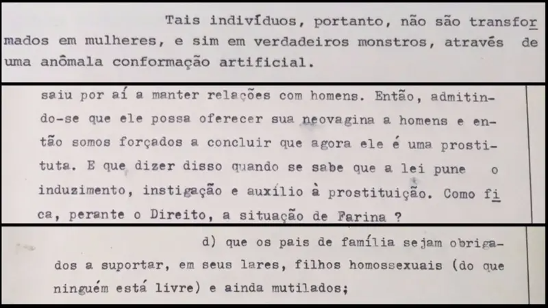 'Monstro', 'prostituta', 'doente mental', 'mutilado', 'eunuco', 'bichinha' foram algumas das palavras usadas pelo Minist&eacute;rio P&uacute;blico paulista para se referir a Waldirene no processo contra Farina 