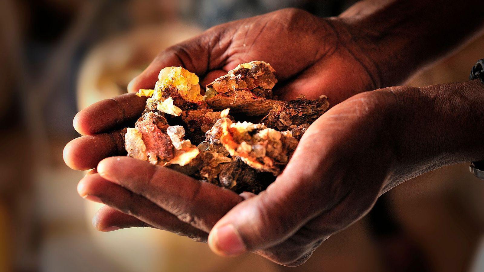 Incienso en las mano de una persona