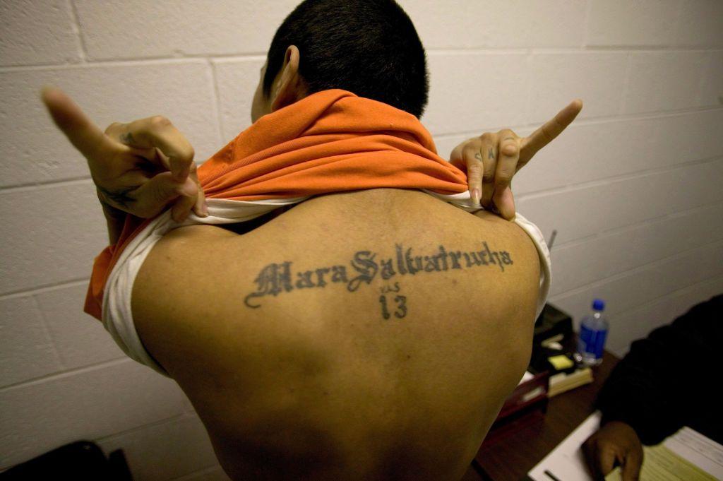 Un miembro de la pandilla Mara Salvatrucha muestra un tatuaje del grupo en su espalda