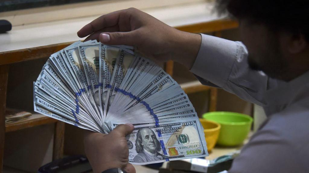 ڈالر، پاکستان، کرنسی