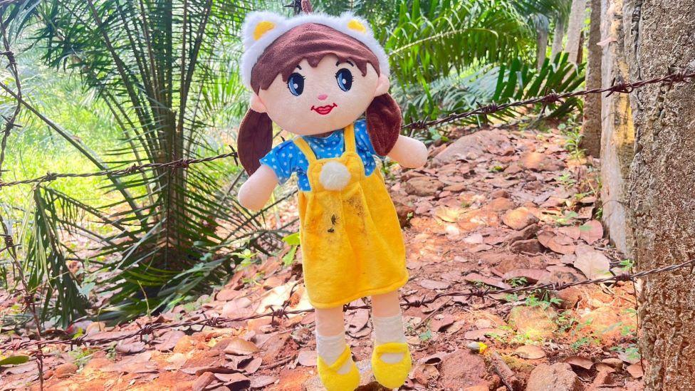 ਸਥਾਨਕ ਲੋਕਾਂ ਦਾ ਕਹਿਣਾ ਹੈ ਕਿ ਜਾਨਵਰਾਂ ਦੀ ਆਵਾਜਾਈ ’ਤੇ ਨਜ਼ਰ ਰੱਖਣ ਦੇ ਲਈ ਗੁੱਡੀਆਂ ਲਗਾਈਆਂ ਗਈਆਂ ਹਨ