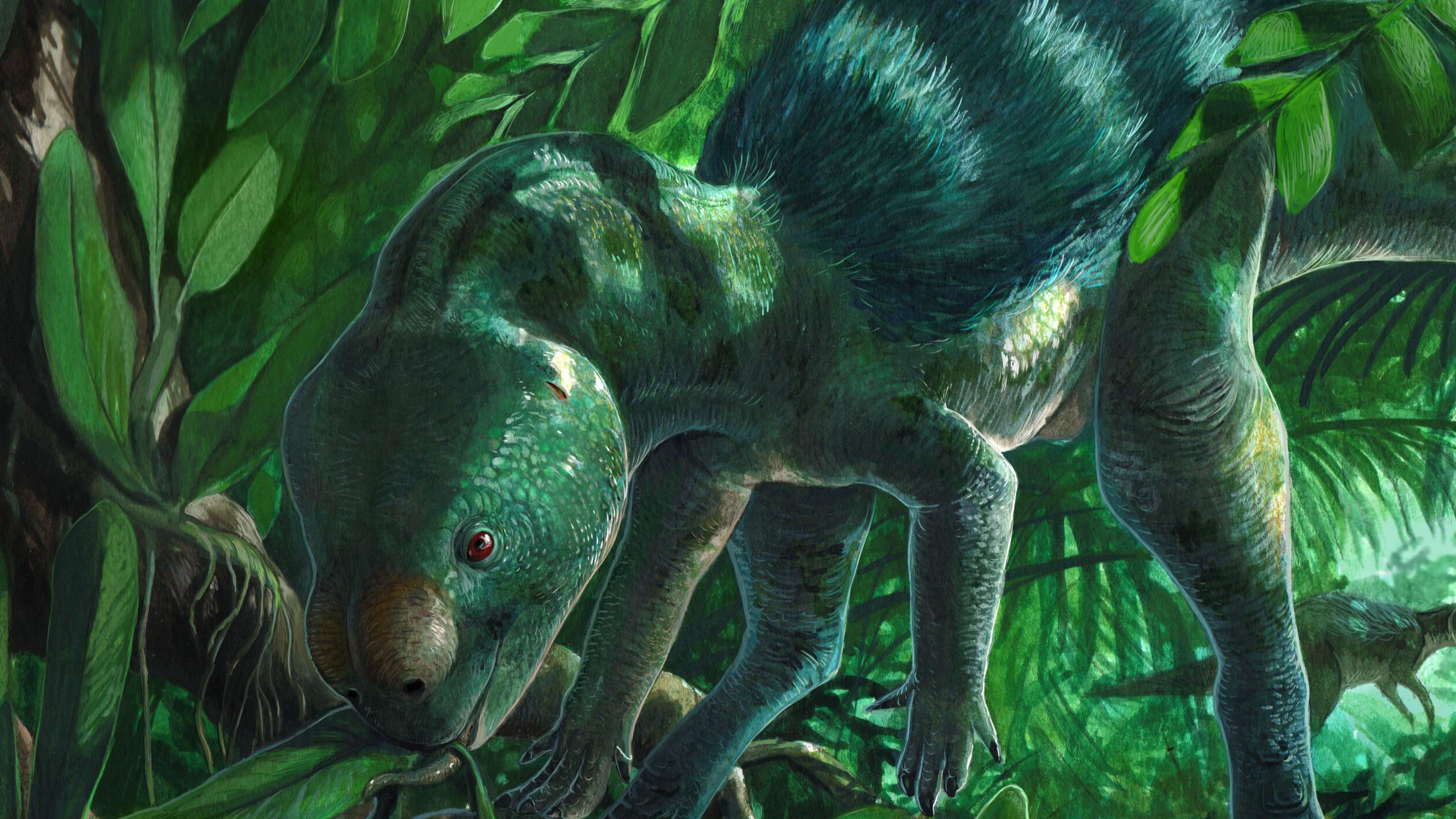 Representación artística de un pequeño dinosaurio verde de pie sobre sus dos patas traseras, con la espalda peluda, y mordisqueando algunas hojas en el suelo, cerca de la base de un árbol.