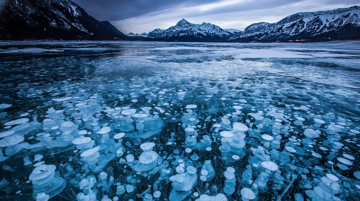 이 철도 탐방로는 앨버타주의 에이브러햄 호수와 신비로운 얼음 기포로 유명한 지역 인근을 지난다