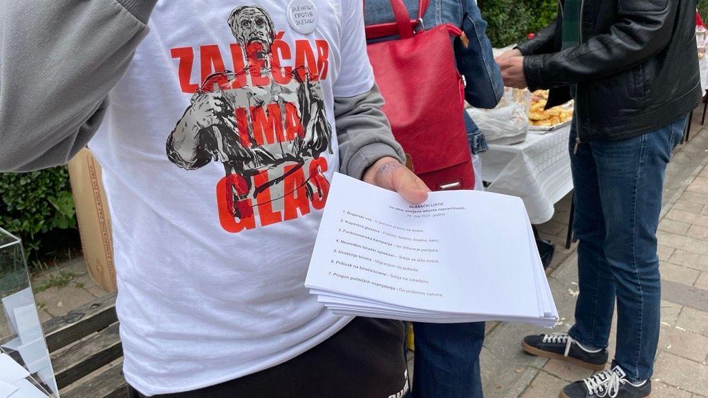studenti, studentski protest, Zaječar, lokalni izbori