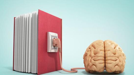 Ilustração de cérebro sendo alimentado por livro