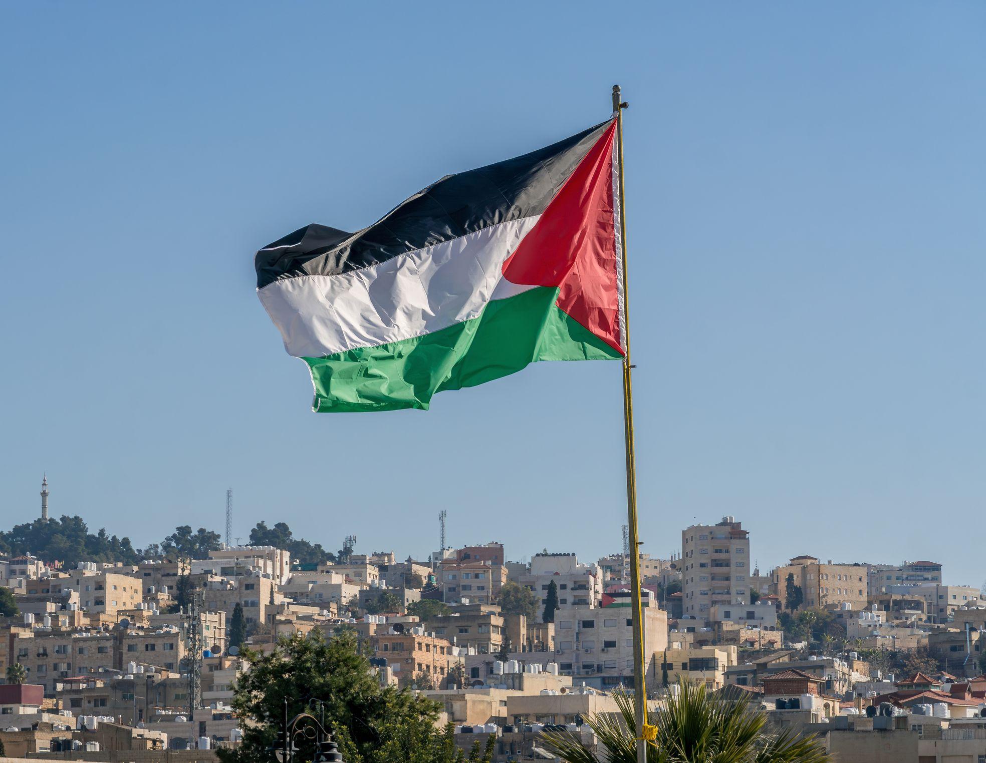 ترحيب عربي وتنديد أمريكي باعتراف فرنسا بدولة فلسطين، و100 نائب بريطاني يوقعون رسالة تطالب رئيس الوزراء بالاعتراف بفلسطين 9 العلم الفلسطيني الكبير يرفرف فوق المدينة. - صورة فوتوغرافية