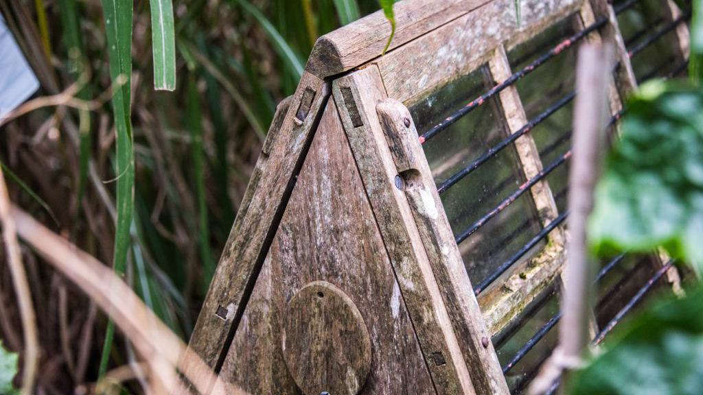 Una caja triangular de madera y vidrio, en este caso también con varas de metal, en medio de follaje