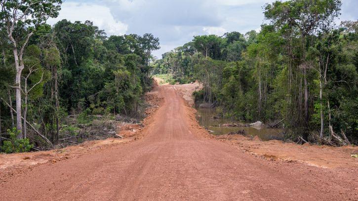 Rodovia de terra no meio da floresta