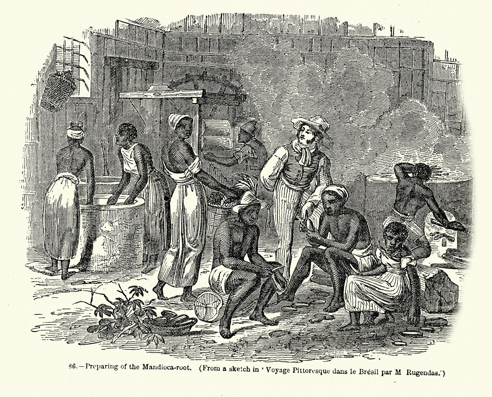 Caricatura de unos esclavos trabajando en una plantación en América del Sur