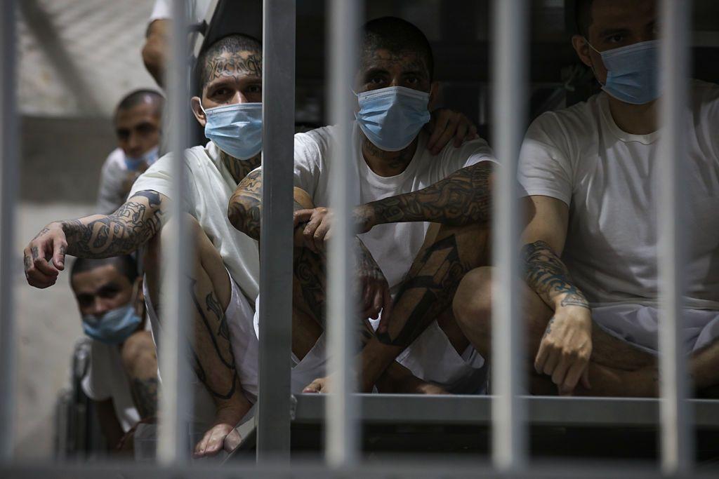 Pandilleros en una celda del Centro de Confinamiento del Terrorismo (CECOT), en Tecoluca, San Vicente, El Salvador, en abril de 2025. (Foto: Alex Pena/Anadolu vía Getty Images)