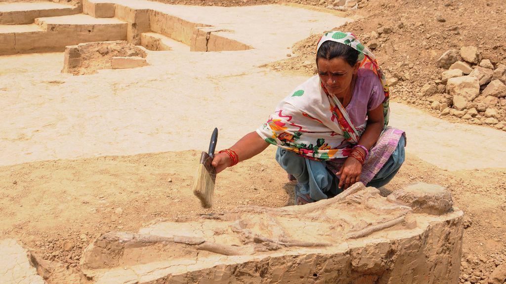 Uma mulher agachada escovando a terra de um grande objeto parcialmente exposto, incrustado no solo em um s&iacute;tio arqueol&oacute;gico