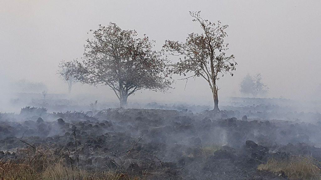 Firefighters battle wildfire tearing through Belgian nature reserve