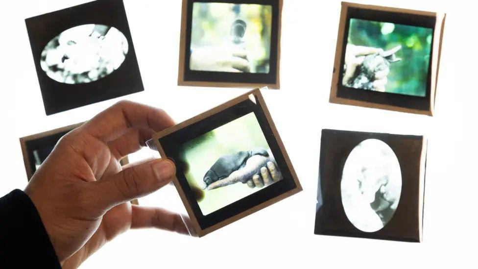 Imágenes de Winston