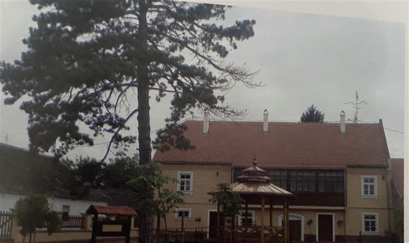 Pet činjenica o velikom naučniku Milutinu Milankoviću 2 Porodična kuća Milutina Milankovića u Dalju