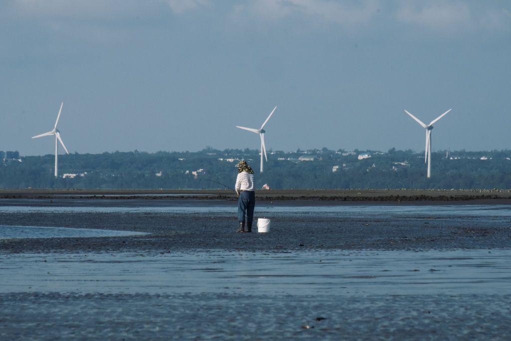 台灣沿海的風力發電機組。
