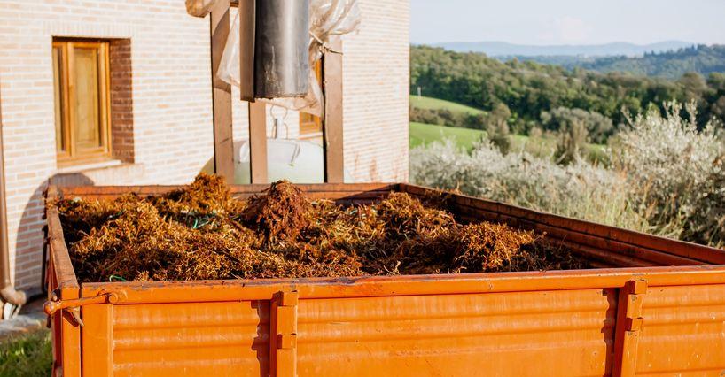 Sistema industrial de extracción de orujo de uva en una bodega con carga automatizada mediante tuberías en un remolque naranja para compostaje o uso como biocombustible, fotografiado con luz de atardecer.