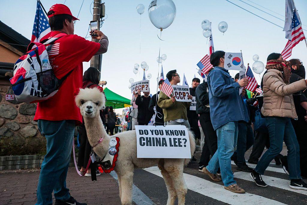 游行人群中一隻羊駝身上掛著標語：你知道 China Lee 嗎？