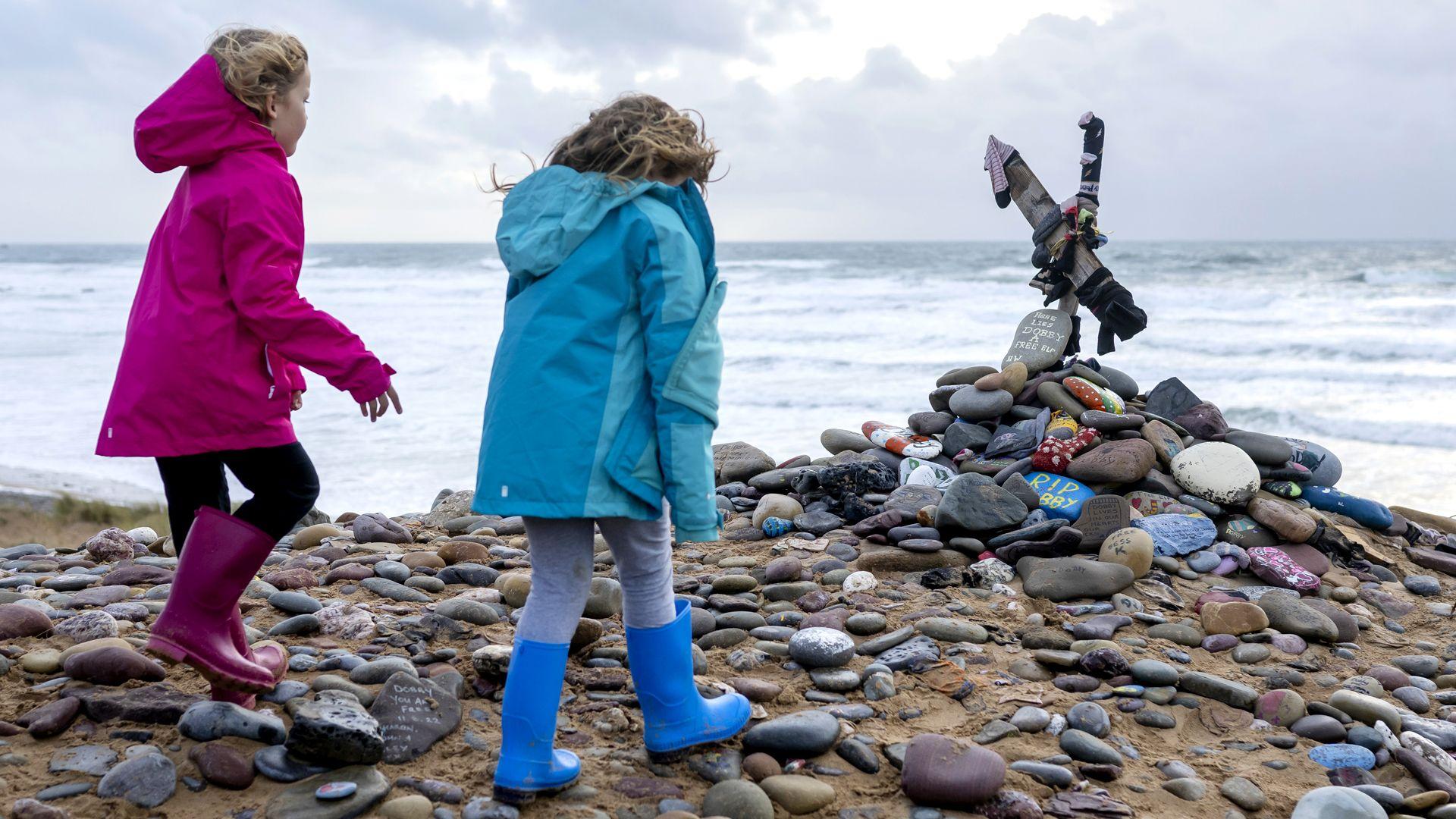 Harry Potter fans force diversion of UK-Ireland power link to avoid Dobbys grave