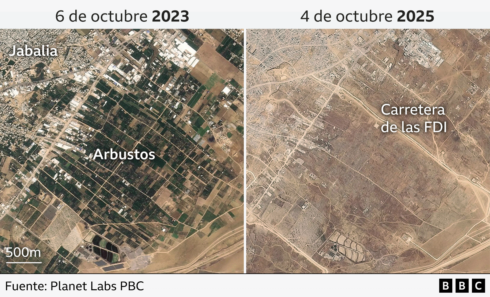 Imagen que muestra los efectos de la guerra en la agricultura en Gaza