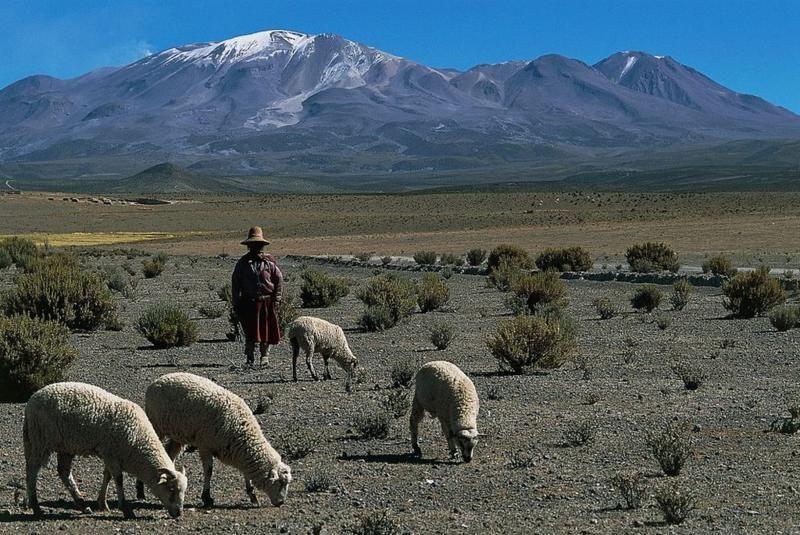 Paisaje del altiplano boliviano.