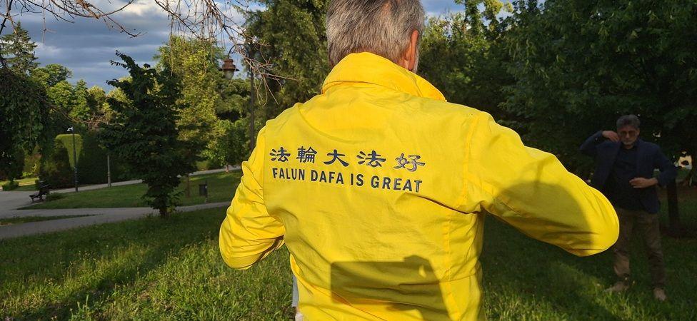 Jakna Falun Dafa, žuta otpozadi