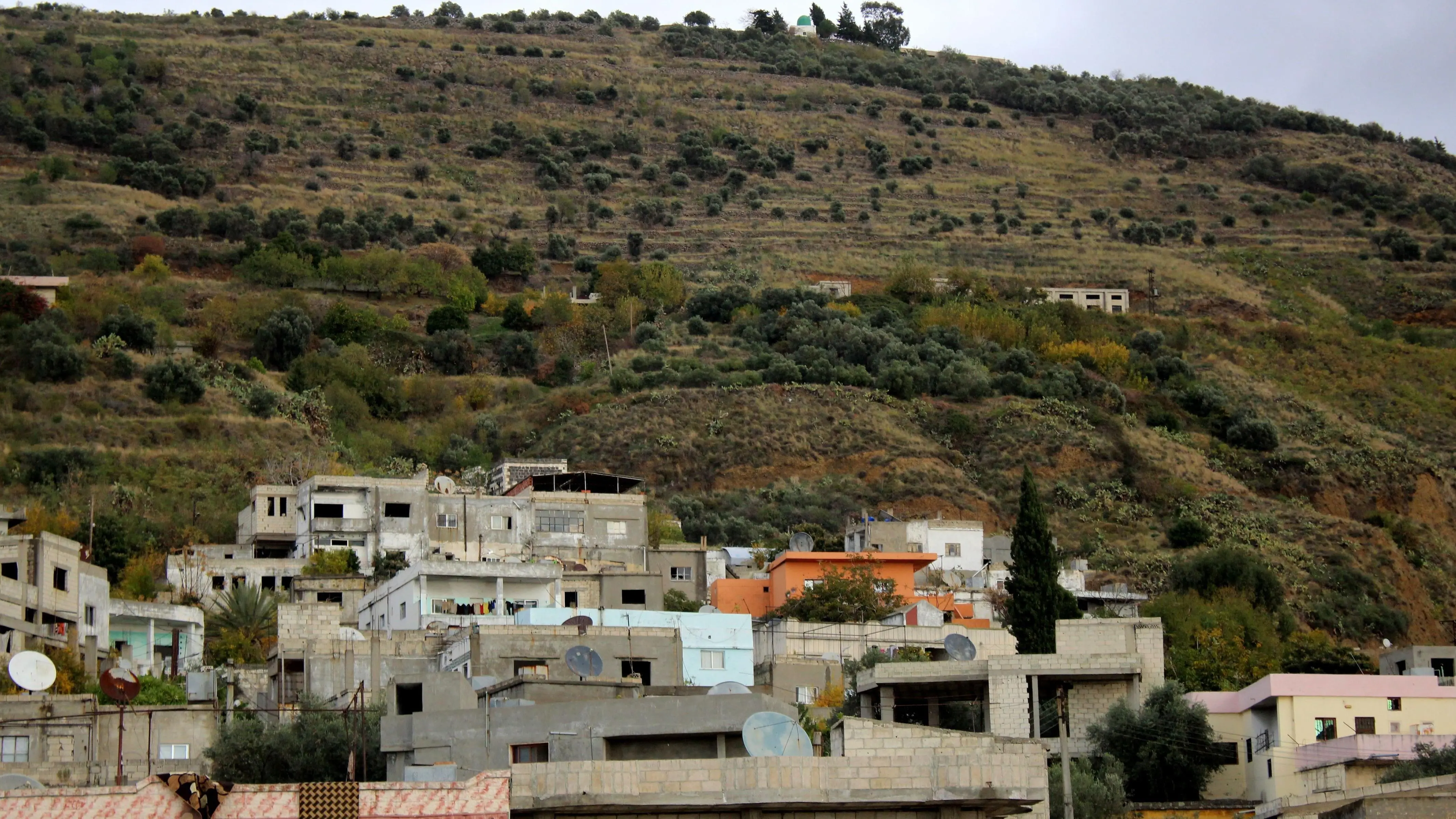 ���� ������ ������ ������ ������� ���� ���� ������ �� ������ ���� �� 80 ����� ������ ������ ��� ������� �������. 