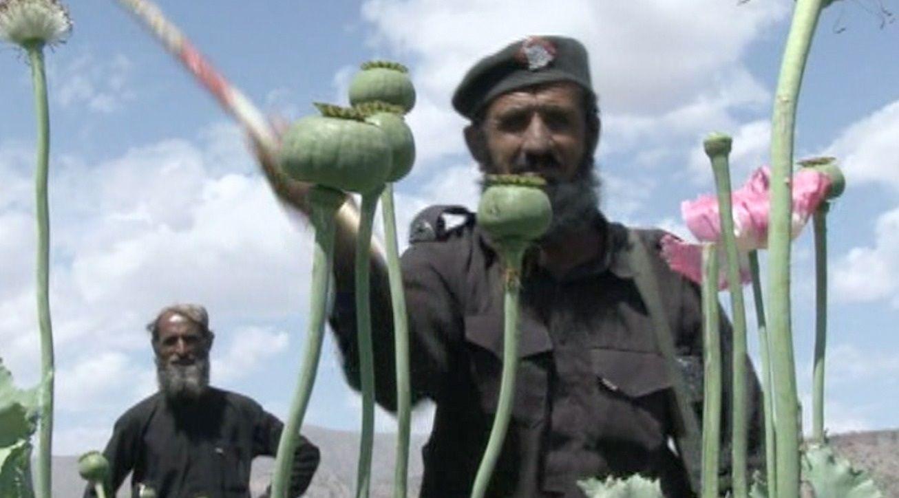 پوست، بلوچستان