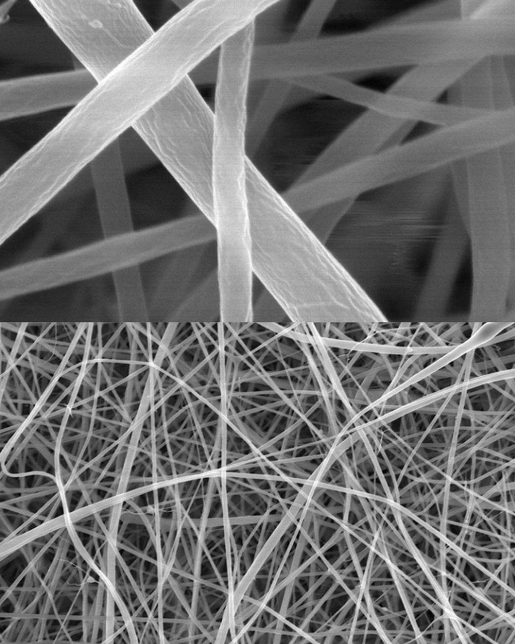 Espaguetis vistos al microscopio.