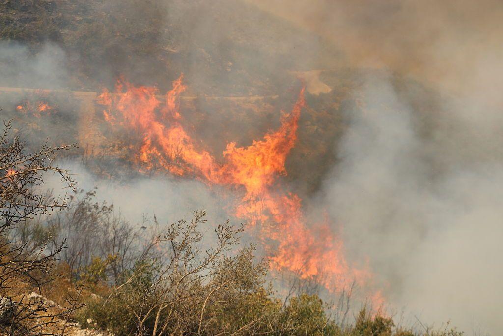 بالصور: حرائق في سوريا ودول جنوب أوروبا والبلقان بسبب موجة الحر 1  صورة تظهر ألسنة اللهب بعد اندلاع حريق هائل في حماة بسوريا في 13 أغسطس/آب 2025.