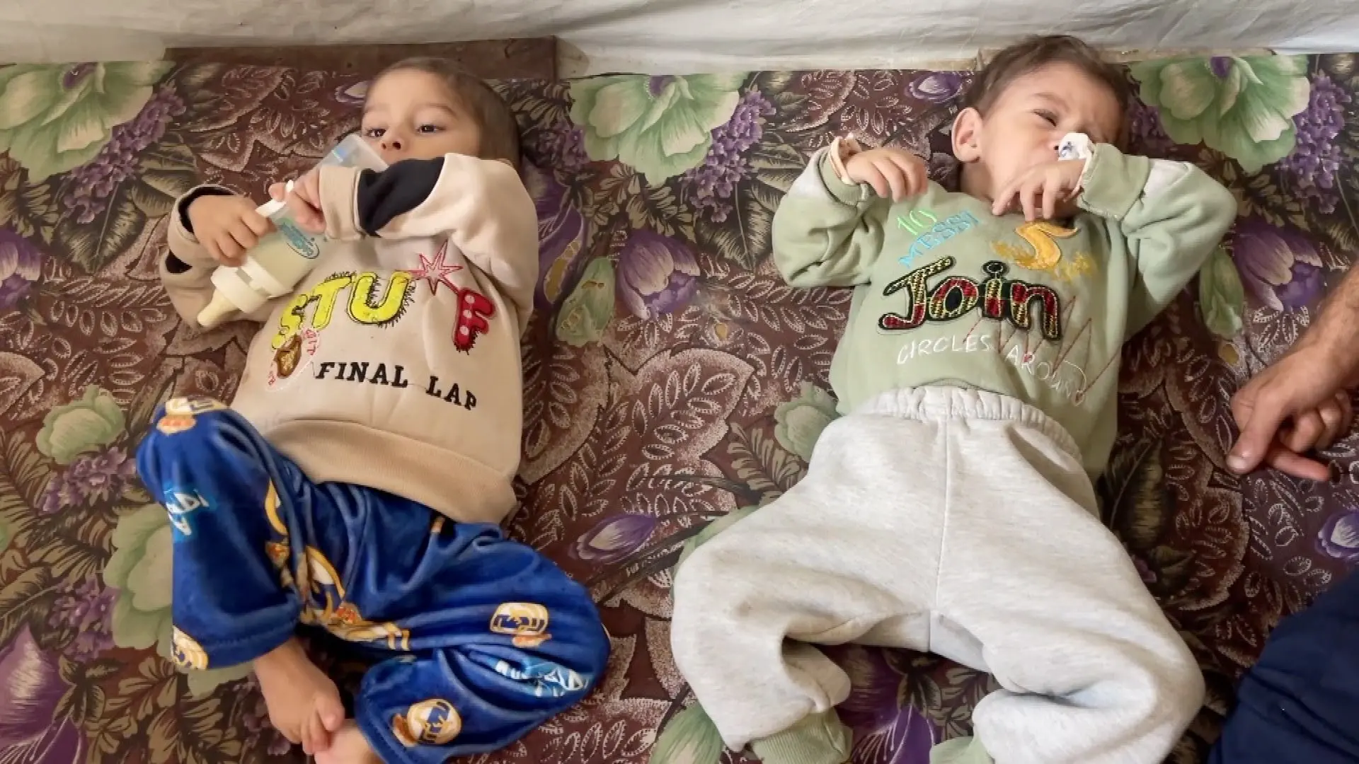      /  2025        / 2025