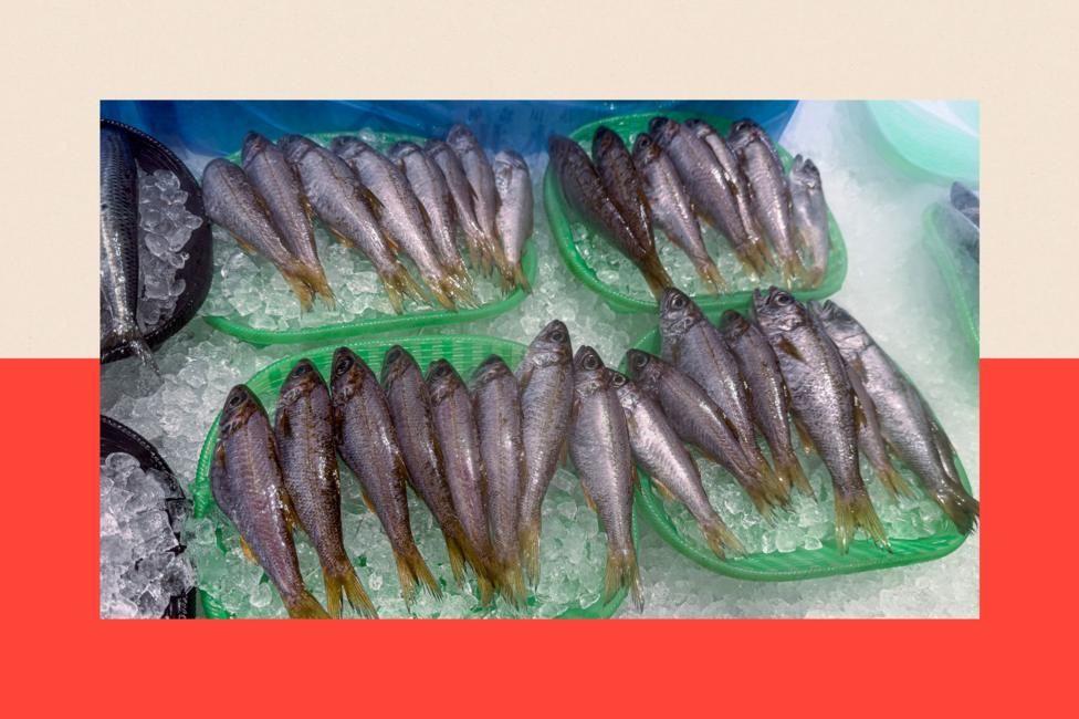 Pescado azul en funtes con hielo