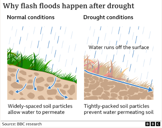 가뭄 후에는 왜 돌발 홍수가 발생하는지 설명하는 그래픽. 가뭄 시 토양 입자들이 빽빽하게 밀집하여 빗물이 토양에 침투하지 못한다