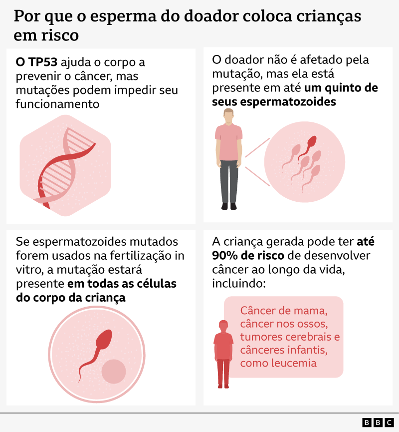 Infográfico explica como uma mutação no gene TP53 presente no esperma do doador pode gerar risco de câncer em crianças concebidas por fertilização in vitro. Painel superior esquerdo: fita de DNA com o texto