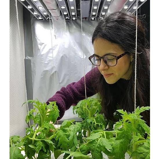 La profesora mexicana Cristina Zepeda, joven y de lentes, inspecciona plantas en un invernadero