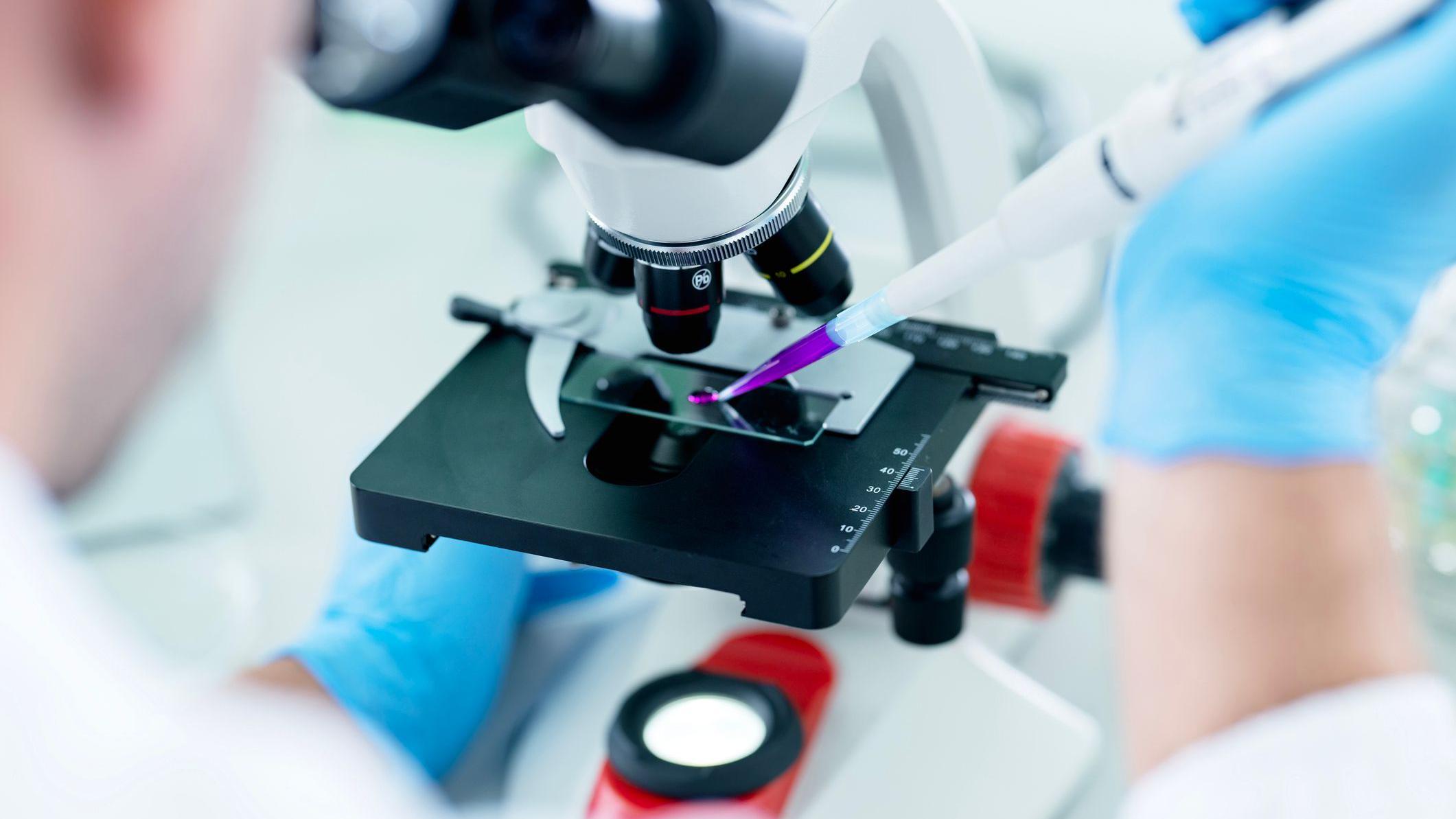 Científicos o investigadores analizan muestras científicas y químicas utilizando un microscopio de laboratorio farmacéutico.