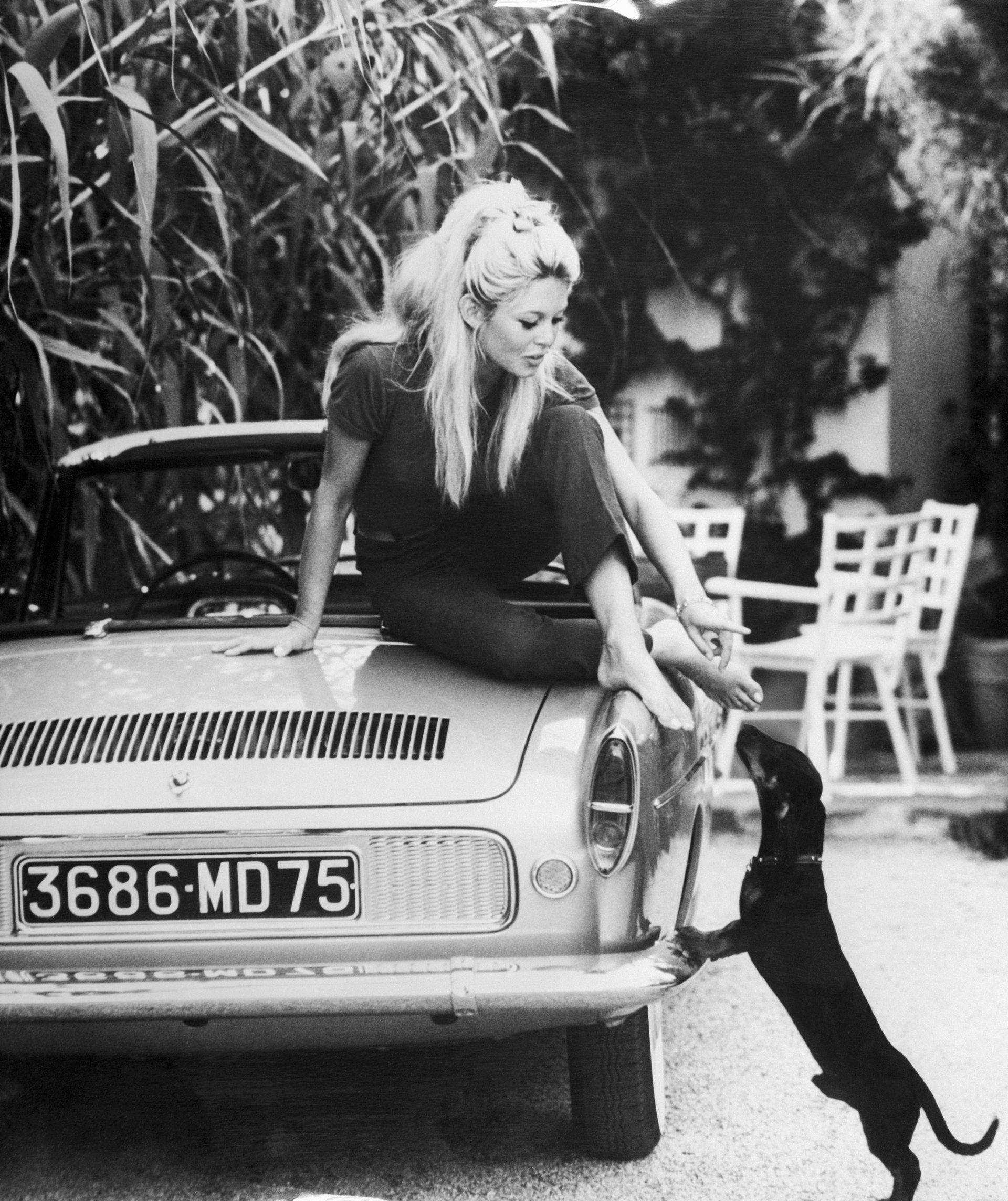 Brigitte Bardot, sentada no porta-malas de um carro com os p&eacute;s descal&ccedil;os em sua casa em St Tropez, enquanto seu cachorro pula em cima dela.
