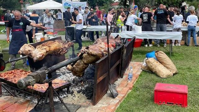 Volovi na ražnju u Loznici, volovi, ražanj, prase, jagnje