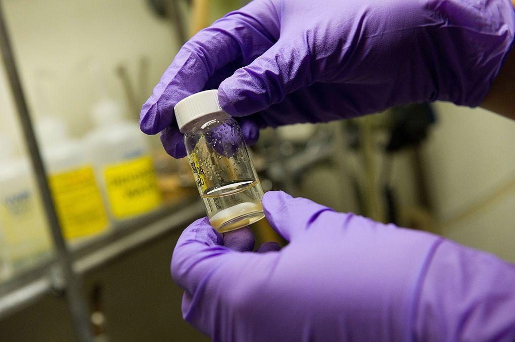 Single vaccine could protect against all coughs, colds and flus, researchers say